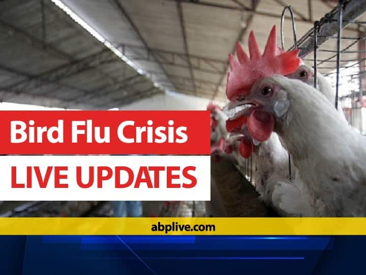 Bird Flu LIVE Updates: States Impacted Symptoms Influenza Virus Causes precautions dos donts spread from poultry consumption faq Bird Flu HIGHLIGHTS: Centre Deploys Team Of Multi-Disciplinary Experts To Districts Of Kerala, Haryana