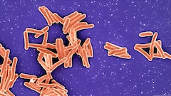 Explained: व्लादिमीर पुतिन का भारत दौरा कितना ऐतिहासिक, क्या रिश्ते और मजूबत होंगे, अमेरिका-यूरोप को जलन क्यों?