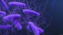 Zubeen Garg Death: 'गैंगस्टर' में 'या अली' गाने वाले सिंगर जुबिन गर्ग की मौत, स्कूबा डाइविंग कर