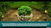 test For image overlay--EDL0151