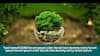 test For image overlay--EDL0151