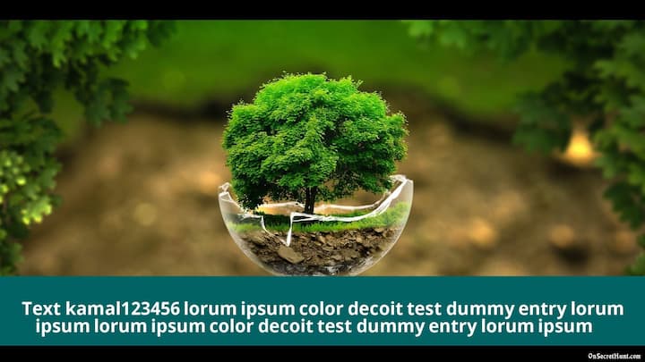 test For image overlay-Edelweiss Balanced Advantage Fund - Growth	##Curren#tDate## kamalstest For image overlay--EDL0151