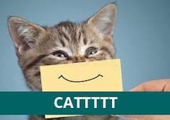 इंडियन प्रीमियर लीग, 2022, टूर्नामेंट, May 06, 2022