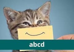 Testing image caption title