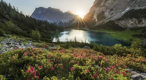 क्या ब्लड ग्रुप के हिसाब से रखना चाहिए खानपान, जाने क्या कहते हैं हेल्थ एक्सपर्ट