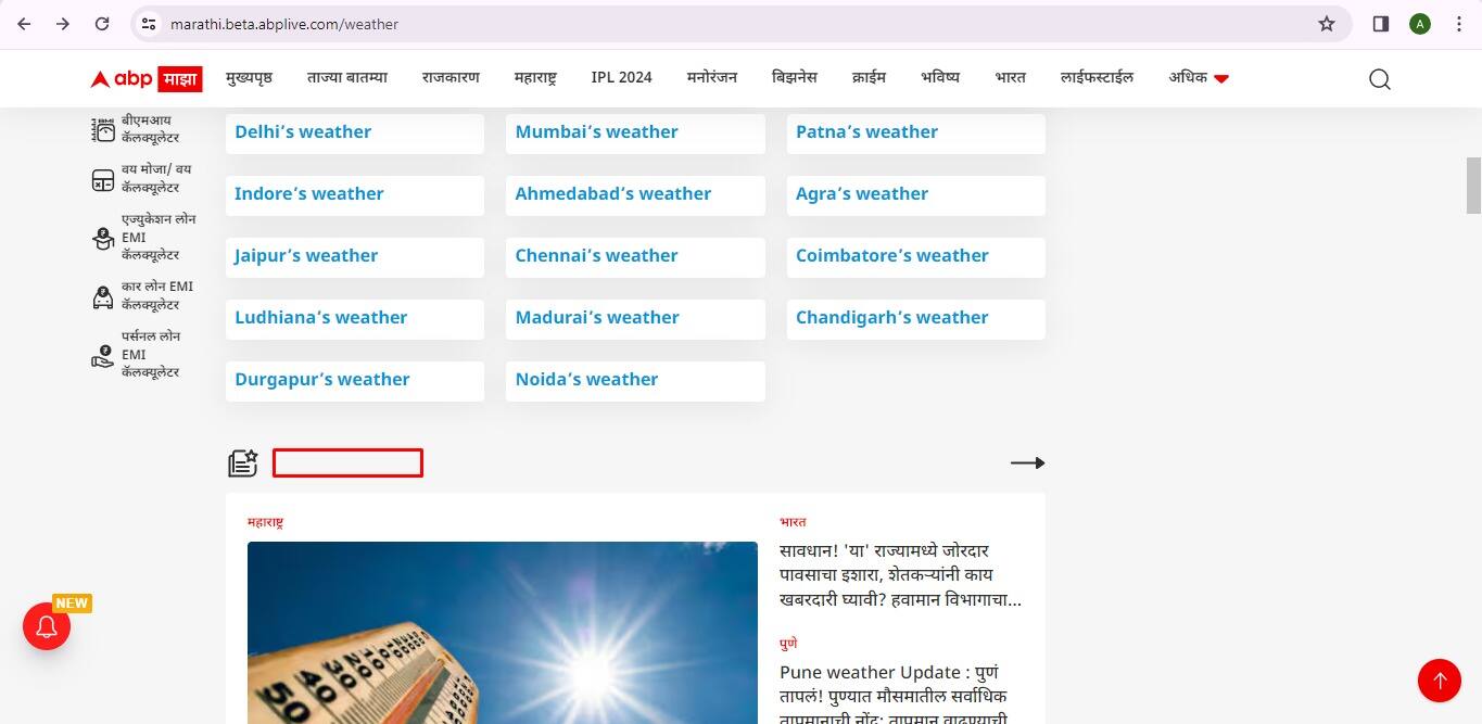 रायबरेली या वायनाड कौन सी सीट छोड़ेंगे राहुल गांधी? हो गया खुलासा