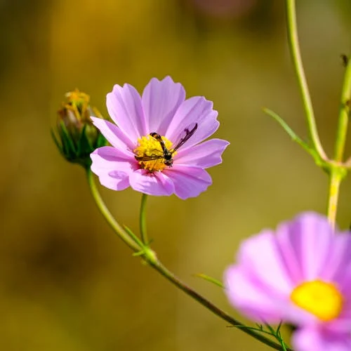 की बम्पर भर्ती के लिए आवेदन करने का आखिरी मौका आज, ऐसे करें अप्लाई